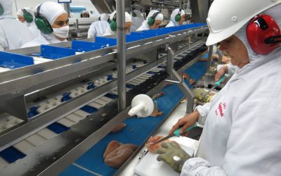 Frango: exportações de carne do Brasil crescem 10,6% no primeiro bimestre