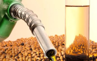 FPBio se manifesta a favor da continuidade do Programa Nacional do Biodiesel