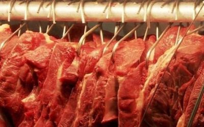 Mais quatro países voltam a comprar carne bovina do Brasil