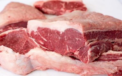 Carne bovina: exportações despencam em fevereiro
