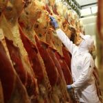 Mato Grosso: fêmeas representam 51,29% do abate de bovinos em fevereiro