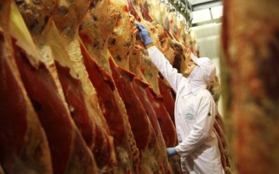 Mato Grosso: escala de abate atinge maior número para o período na série histórica