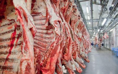 Argentina faz 1ª exportação de carne bovina ao México