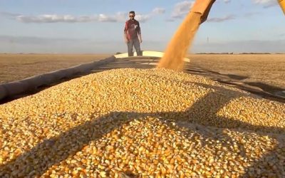 Logística e armazenagem podem travar produção de Mato Grosso no curto prazo