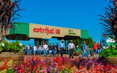 Cooperativa anuncia faturamento recorde e distribuição de R$ 26 milhões em sobras