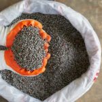 Fertilizantes: entregas ao mercado brasileiro recuam 10% em 2022