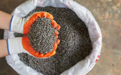 Fertilizantes: entregas ao mercado brasileiro recuam 10% em 2022