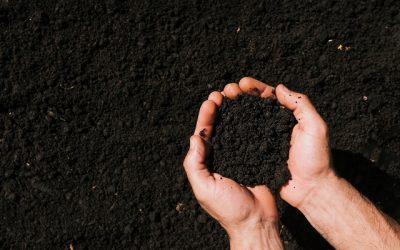 Empresa de fertilizantes vai investir R$ 400 mil em unidade no Matopiba