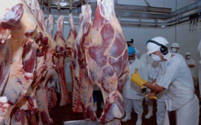 Brasil tem 50 frigoríficos aptos a exportar para China e quer aval para habilitar novos