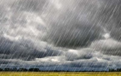 Chuva em excesso atrapalha colheita em quatro estados