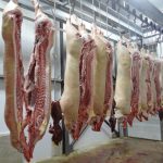Carne suína: Brasil deve produzir mais este ano do que em 2022