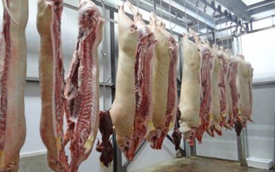 Carne suína: Brasil deve produzir mais este ano do que em 2022
