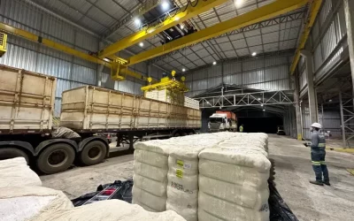 Brado investe mais R$ 13 milhões na modernização de terminais