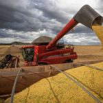 Agronegócio brasileiro avança com três safras por ano na mesma área