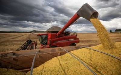 Agronegócio brasileiro avança com três safras por ano na mesma área