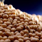 China pretende plantar mais soja e acelerar transgênicos