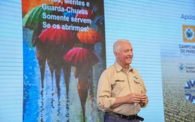 Trigo pode ser próxima fronteira agrícola de Mato Grosso