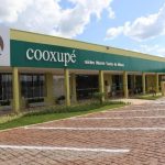 Cooperativa distribui mais de R$ 56 milhões a produtores associados