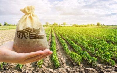 CNA solicita R$ 1,5 bi para equalização de juros do crédito rural
