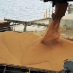 Anec reduz estimativa de exportação de soja, farelo e trigo