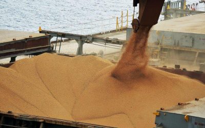 Anec reduz estimativa de exportação de soja, farelo e trigo