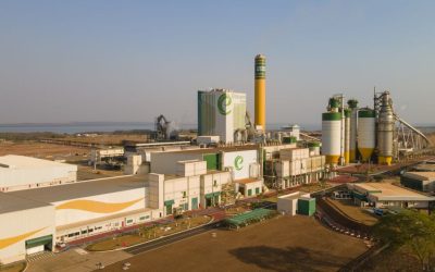 Polinésia Francesa abre mercado para carne de frango do Brasil