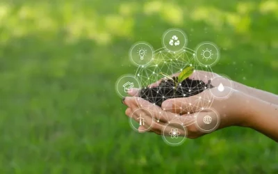 Campo, finanças e tecnologia: saiba o que são as agfintechs e sua importância no agronegócio