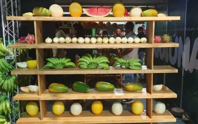 Melão, Melancia, Mamão e Manga: os 4 Ms que alavancaram a fruticultura do Rio Grande do Norte