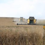 Plano Safra 23/24: Fazenda traz linha temporária emergencial, mas não muda cenário ajustado de crédito no BR
