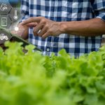 Agro quer se conectar com 5G, mas infraestrutura ainda é desafio