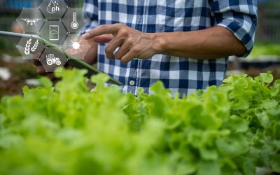 Agro quer se conectar com 5G, mas infraestrutura ainda é desafio