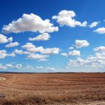 Brasil possui 28 milhões de hectares de pastagens degradadas com alto potencial para agricultura