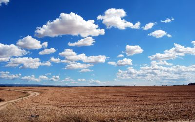 Brasil possui 28 milhões de hectares de pastagens degradadas com alto potencial para agricultura