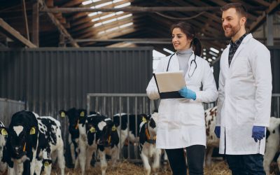 Febre aftosa: 16 estados do Brasil e o DF não precisam mais vacinar bovinos contra a doença