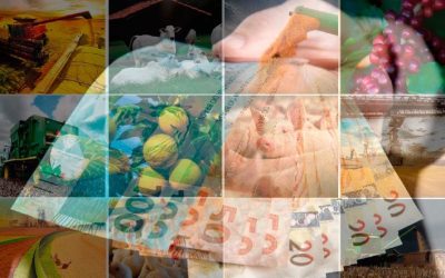 Plano Safra 2023/24 desembolsa R$ 347,2 bilhões em 10 meses