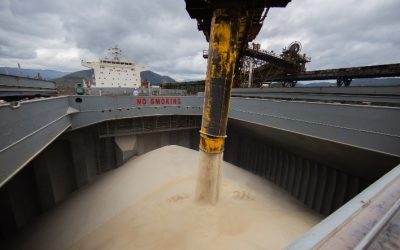 Brasil atinge recorde histórico de exportação de açúcar até outubro, impulsionado por demanda global