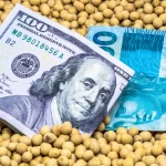 Soja: dólar em torno de R$ 6 mantém cotações em alta
