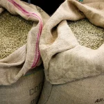 Safra de café encerra 2024 com 54,2 milhões de sacas