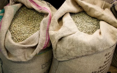 Safra de café encerra 2024 com 54,2 milhões de sacas