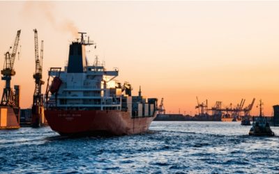 Brasil lidera exportação agro mundial