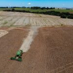 Preços da Safra Paranaense de 2024/25 Apontam Oportunidades para Produtores