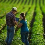 Agropecuária Gera 35,7 Mil Novos Empregos Formais em Janeiro