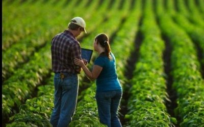 Agropecuária Gera 35,7 Mil Novos Empregos Formais em Janeiro