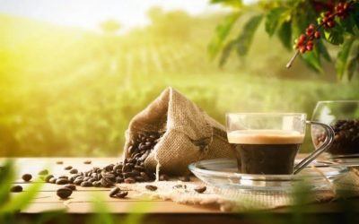 Mercado do Café Fecha Março em Alta Apesar de Forte Volatilidade