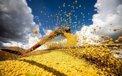 Brasil colhe 85,3% da soja e planta 99,1% do milho segunda safra, aponta Conab