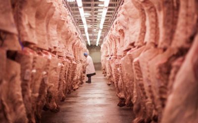 Exportações de carne bovina crescem 41% em volume e 42% em receita em março, aponta Abrafrigo