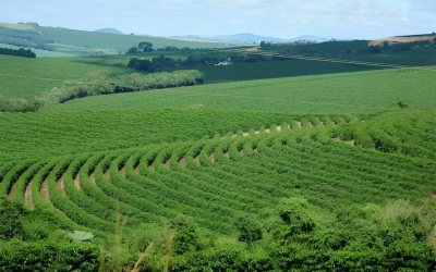 Ministério da Agricultura busca opções para ampliar Plano Safra